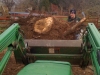 stump_removal